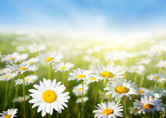 cuidado piel consejos primavera